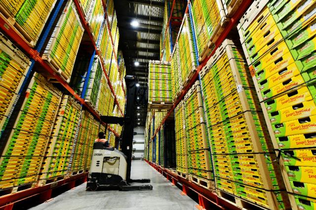 一辆接着一辆的配送车队 每天第一时间将各类食品,产品 集中运输到