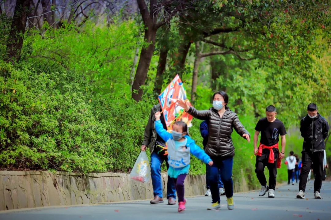 合肥人的春天去一次大蜀山就够了