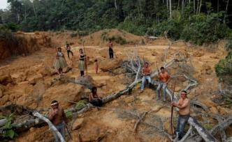 亚马孙原住民森林保护者接连被谋杀，6个月内5人死亡