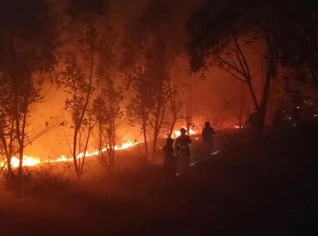 【方志四川诗词】蒋心悦 ‖ 逆行者之歌——写在西昌森林大火,又惊闻