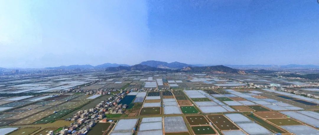 投入2亿打造10个样板村斗门乡村振兴开启30版本