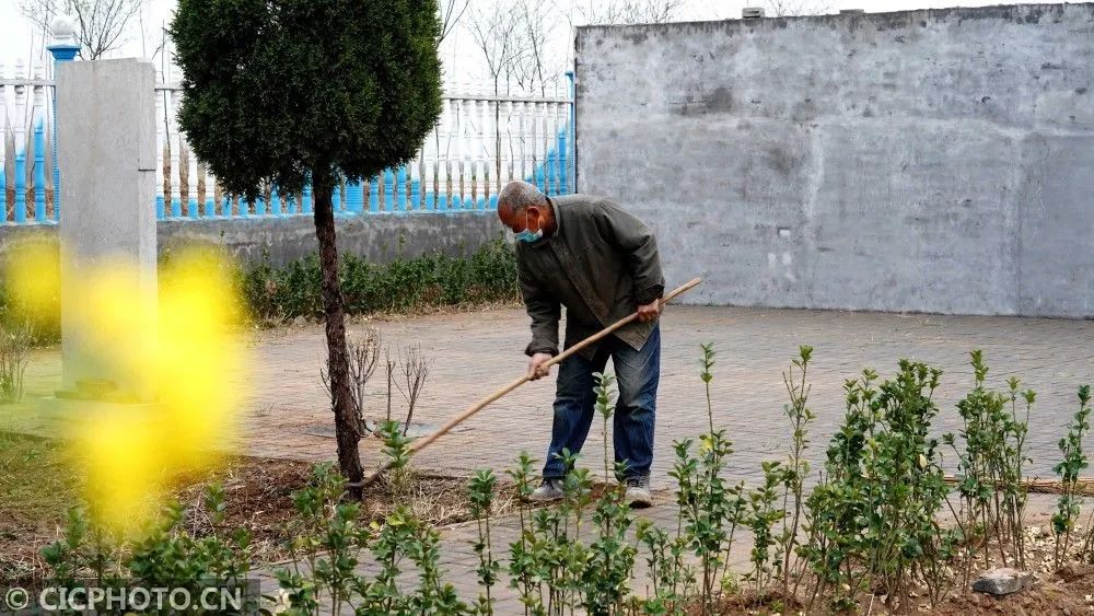 2020年4月1日,河北省巨鹿县张王疃乡苗庄村村民苗明文在烈士墓地锄
