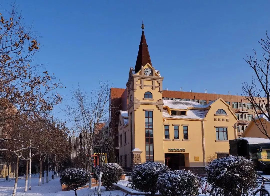 山东建筑大学樱花路图片