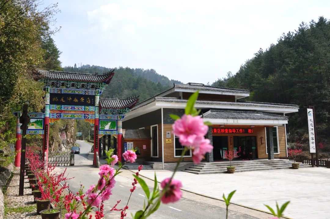 桃花衝位於黃岡市英山縣東北部,景區內碧潭飛瀑,石怪松奇遍佈,森林