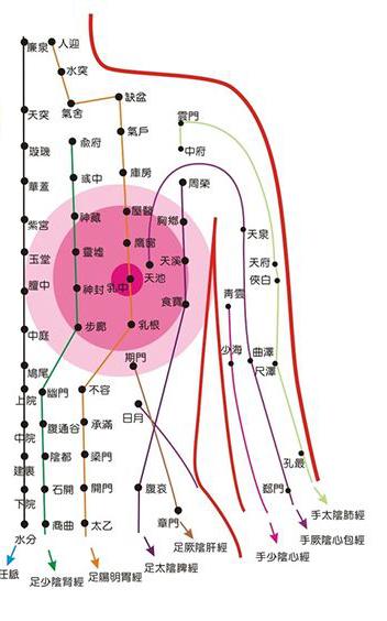 爱助她①丨对于乳腺增生,中医有什么好办法?_政务_澎湃新闻-the paper
