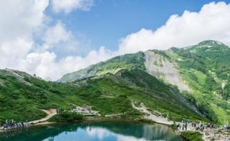 原油暴跌給家電產業帶來一場“意外收獲”