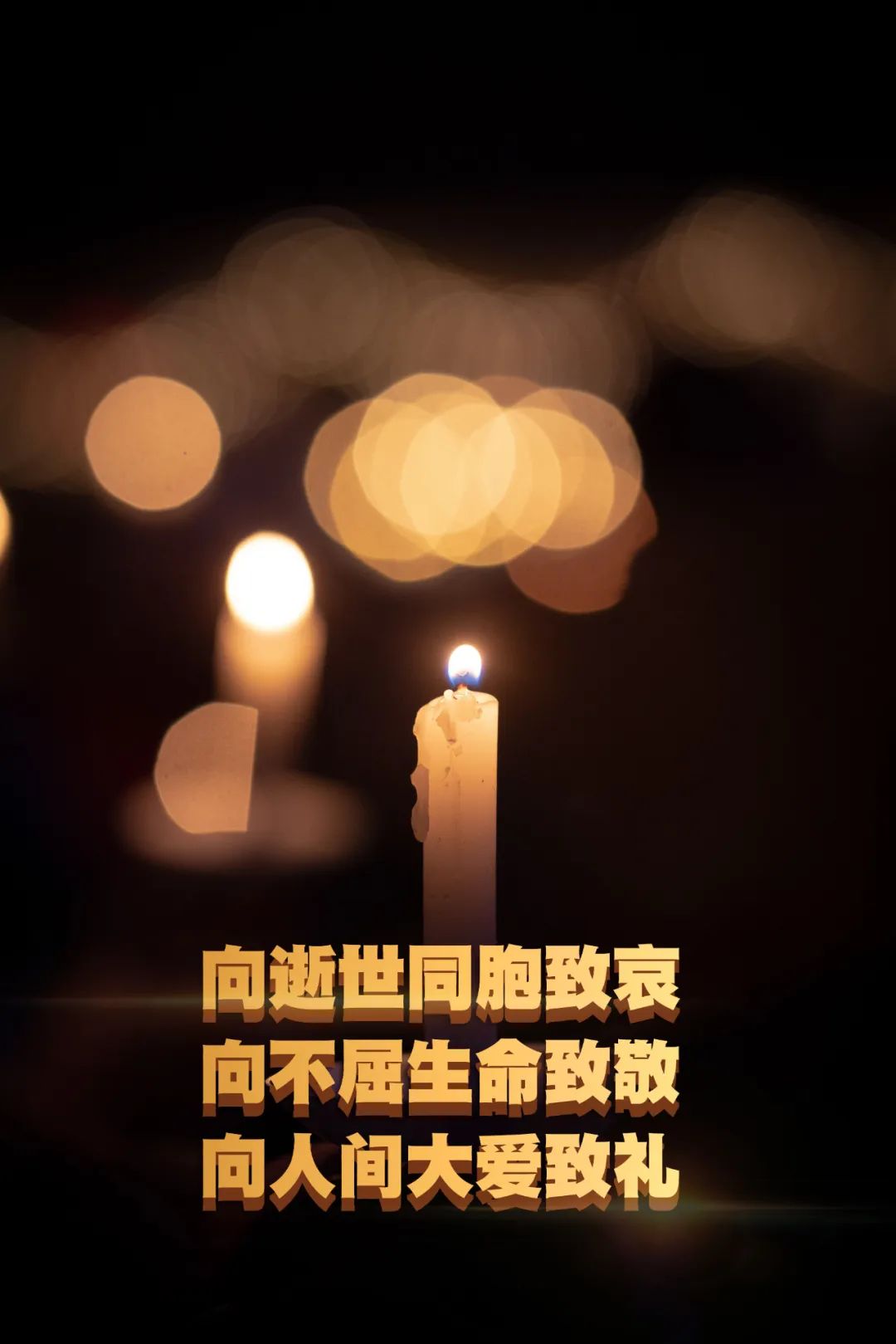 草木含泪山河同悲