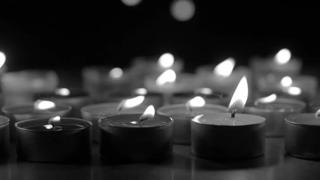 黑白菊花蜡烛悼念图片图片
