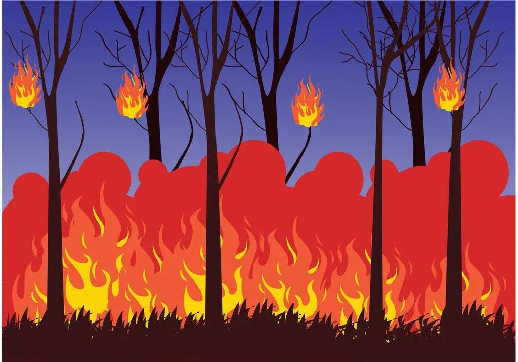 清明祭扫引发森林火灾构成失火罪被追究刑责