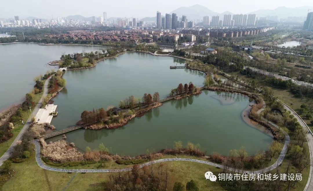 市住建局天井湖公园坚持高标准谋划,高质量推进,加快天井湖清淤项目