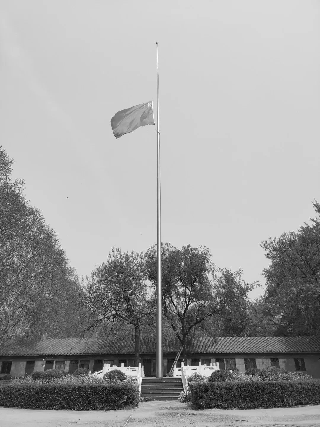 当天,大名县委,县政府机关大院,降半旗致哀在那遥远的田野上,先人的墓