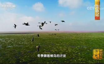 湖南衡东：洣水湿地生态美景亮相央视科教频道
