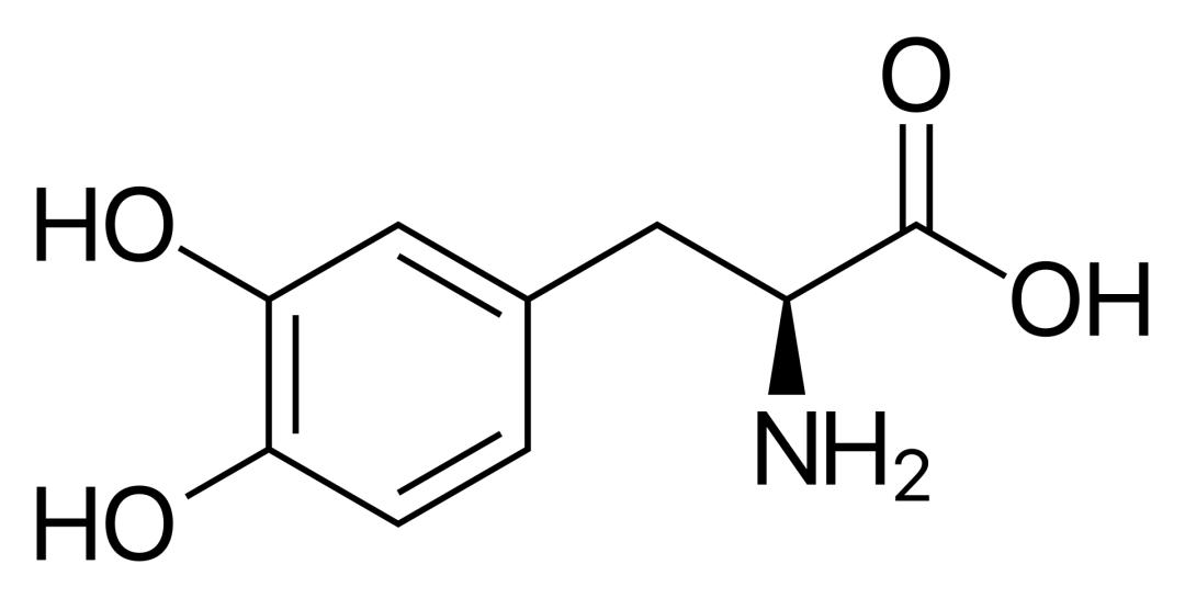 784.jpg