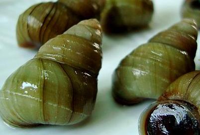 螺蛳壳里的道场是要嘬嘬嘬出来的