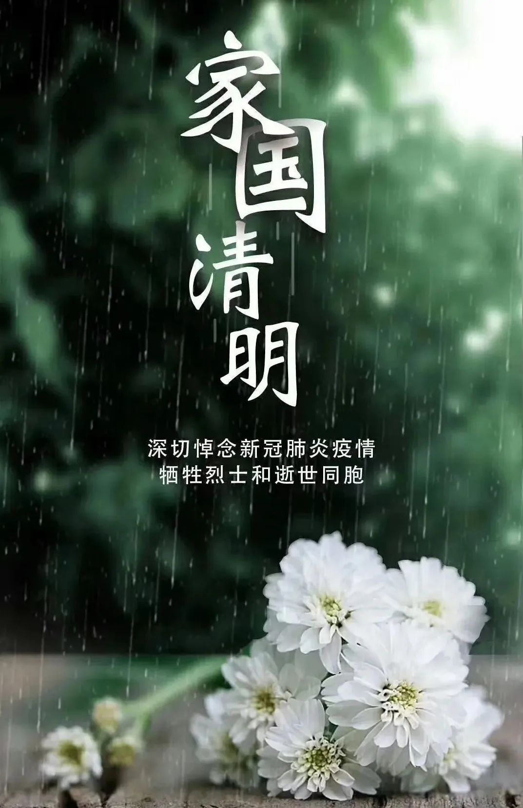 致敬诗歌庚子清明祭