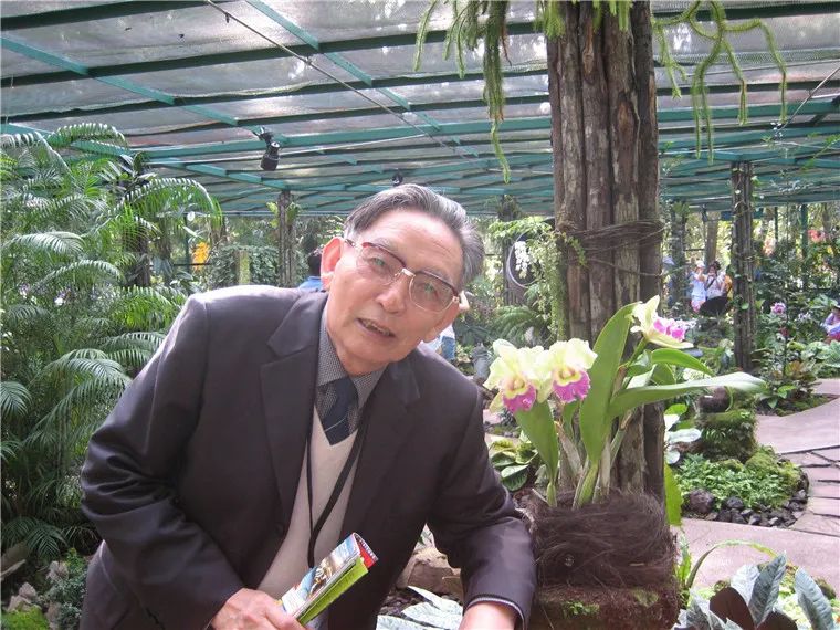 追忆周俊院士一双巨眼洞见植物化学奥秘