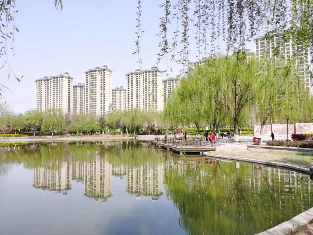 这是心动的感觉速来围观辛集清明踏青打卡圣地