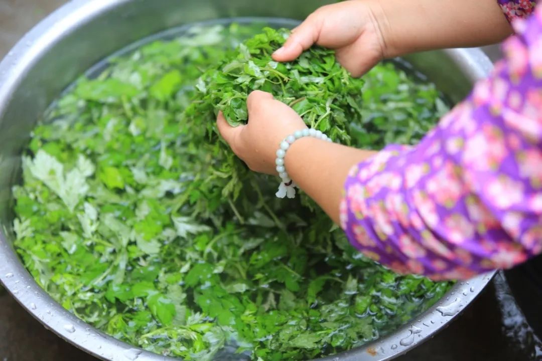 做艾饼得摘这种顶部的嫩艾叶.