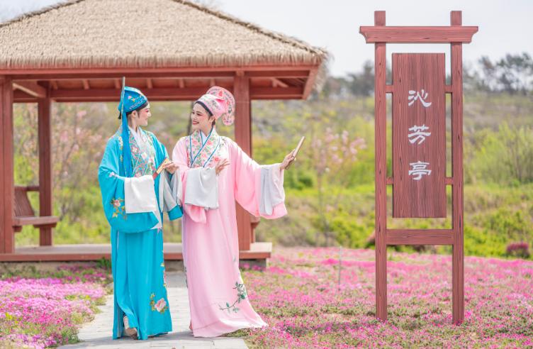 藏不住了!梁山伯祝英台空降巢湖中庙芝樱花海