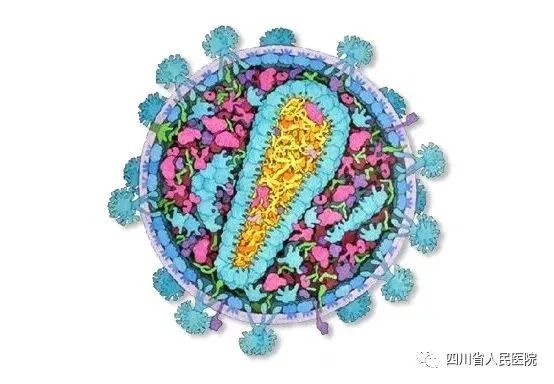 恐惧 是因为不曾了解 让我们一起正确认识艾滋 政务 澎湃新闻 The Paper