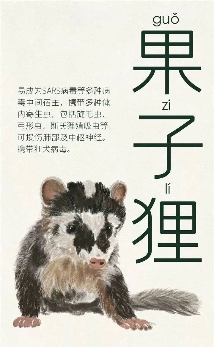 特殊时期抚州居民家中惊现野生果子狸