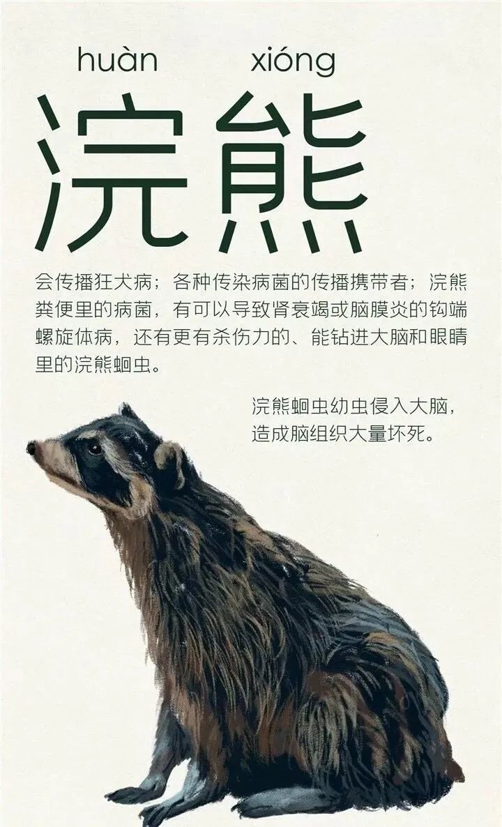 特殊时期抚州居民家中惊现野生果子狸