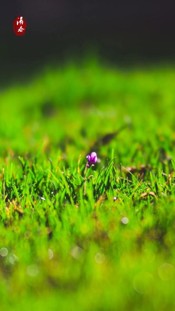 春风十里不如把它镌刻在清春里