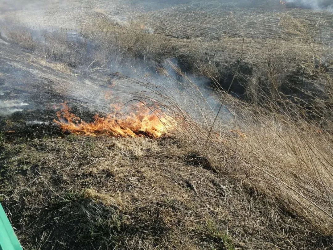 杜绝春耕一把火共筑平安高速切勿沿线烧荒