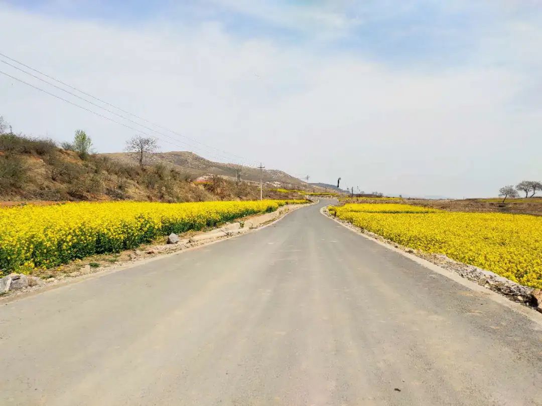 峰峰最美的田间小路你最钟意哪个