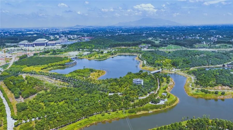 聚力达标攻坚茂名决战决胜2020年污染防治攻坚战