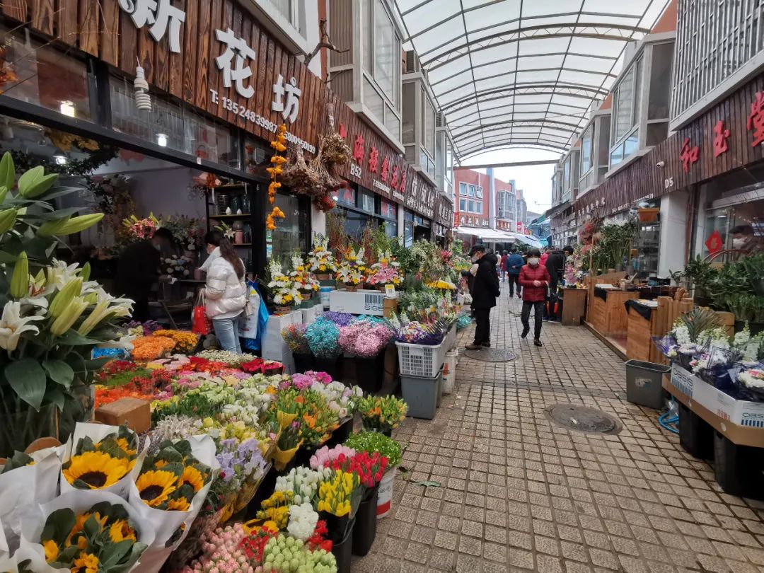 在上海中心城区最大的花卉市场——普陀区岚灵花鸟市场里,几乎所有的
