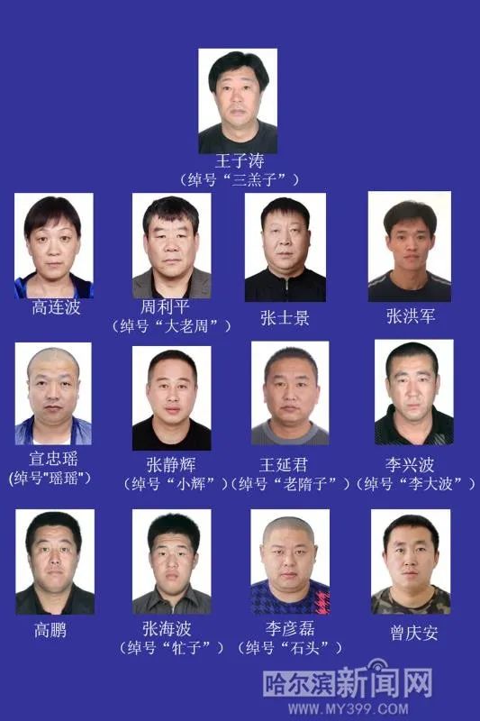 长期盘踞呼兰区严重破坏社会经济和治安秩序警方征集三