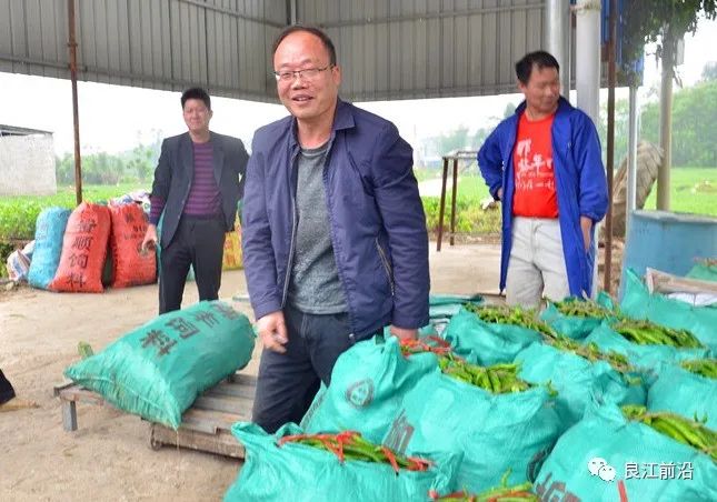 张庆昌正在他自已设立的收购点里登记椒农刚送来的辣椒重量"我家去年