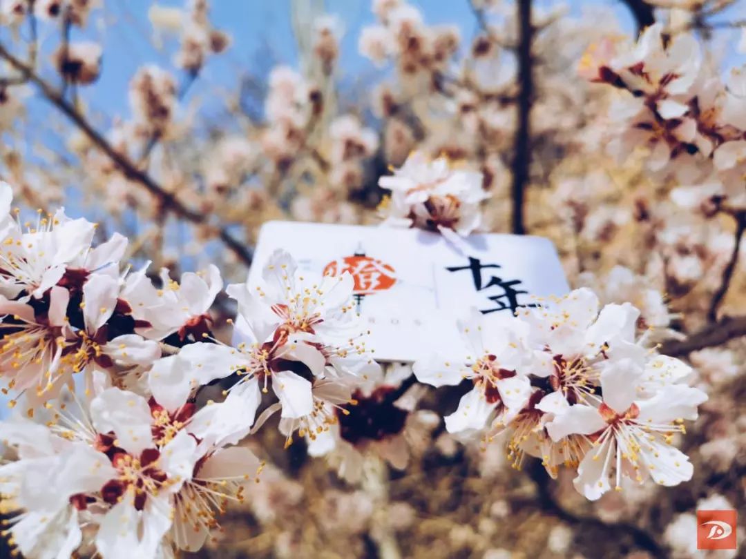 敦煌:月牙泉村“十年灯” 点亮民宿“图书馆”_澎湃号·政务_澎湃新闻-The Paper