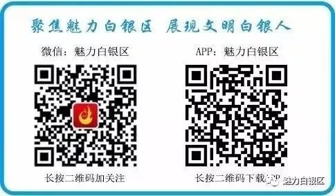 致富新项目养鸡_养鸡致富经_致富养鸡好段