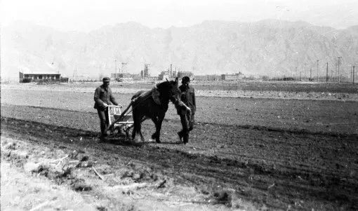 图集丨一组春耕老照片勾起多少记忆