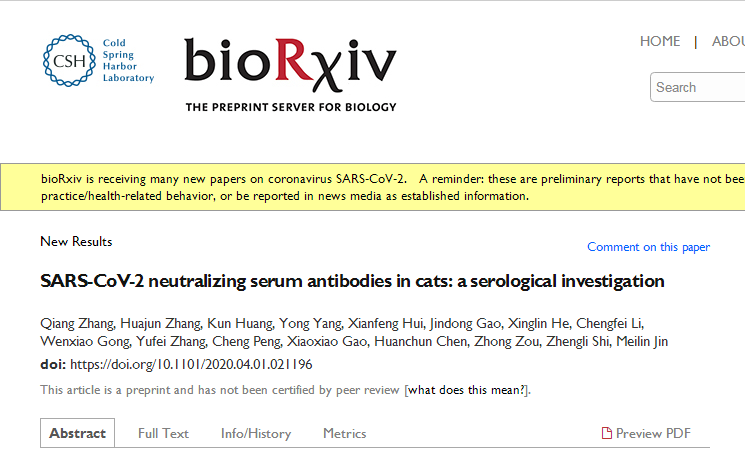 猫感染新冠会传染人 别慌 病毒学家的解读来了 媒体 澎湃新闻 The Paper