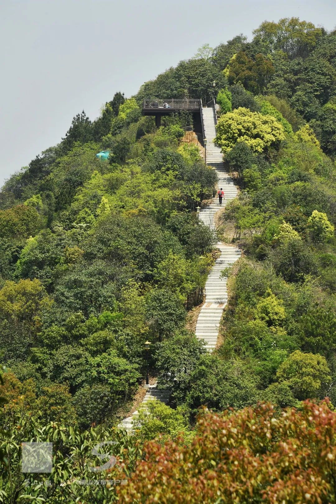 沿途有遗址登顶后还能俯瞰湘湖全貌这条游步道可以约起来了
