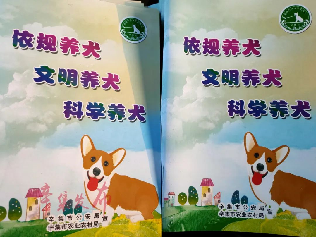 要依规养犬,文明养犬,按照流程依法申领养犬免疫登记证和犬牌;出门