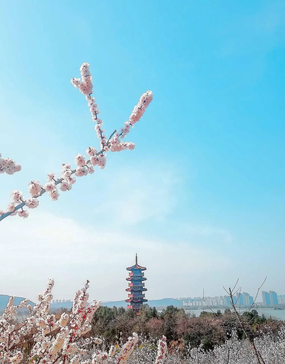 徐州春色美景地图全解锁,收藏!