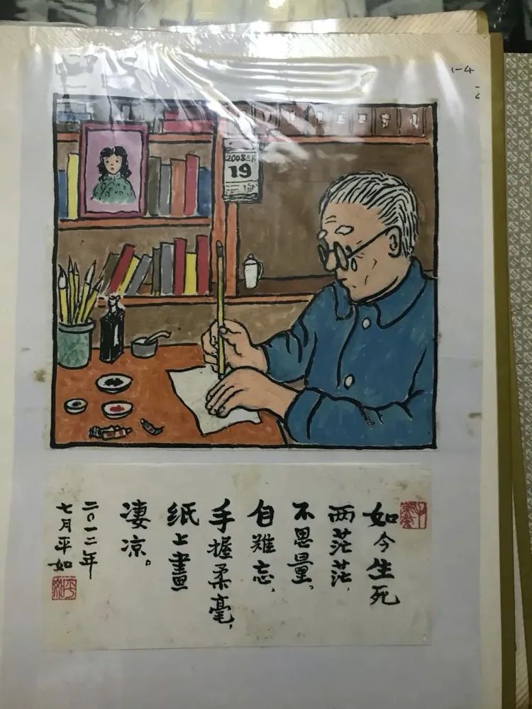 饶平如毛美棠简介图片