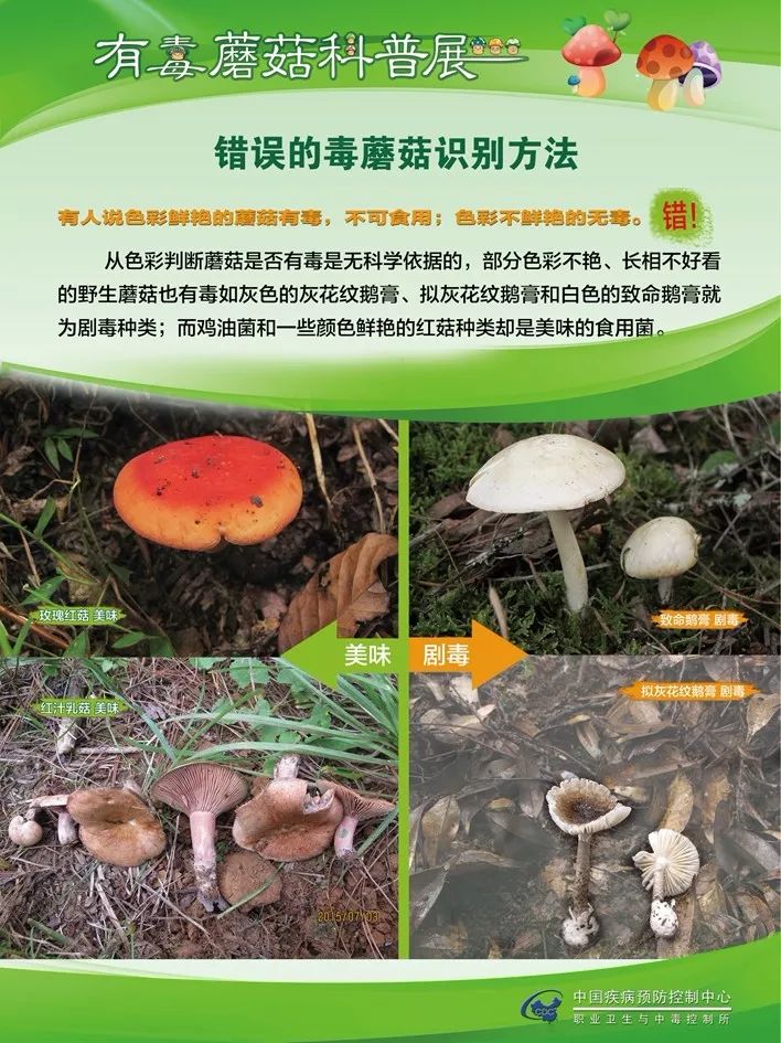 蘑菇菌释放毒气图片