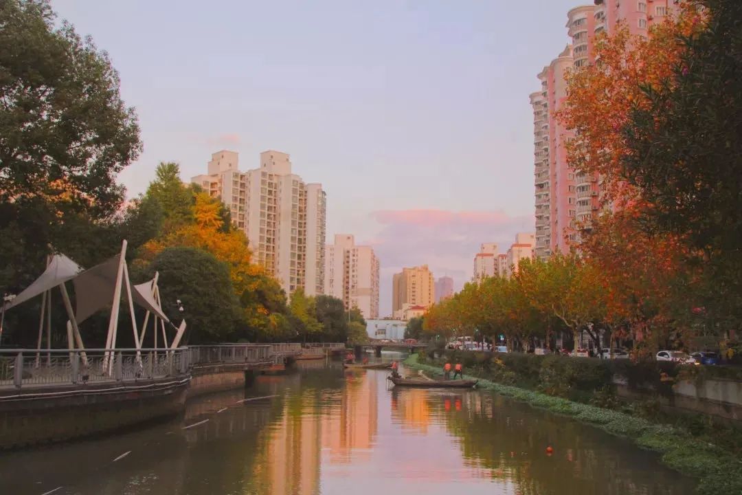 2018-2019年度上海市文明镇名单徐汇区:1个华泾镇社区生活离不开基础