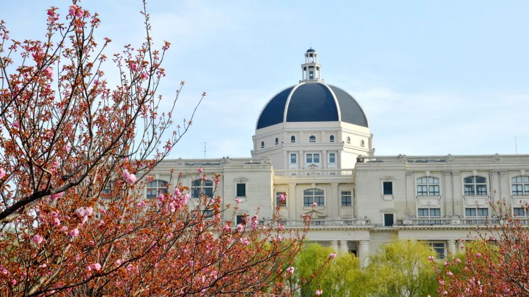 上外图文君带你思辨阅读①如何读