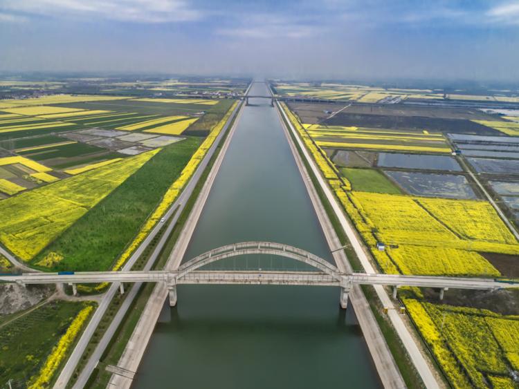 春日里的湖北|湖北沙洋:最美人工运河!风吹菜花香两岸