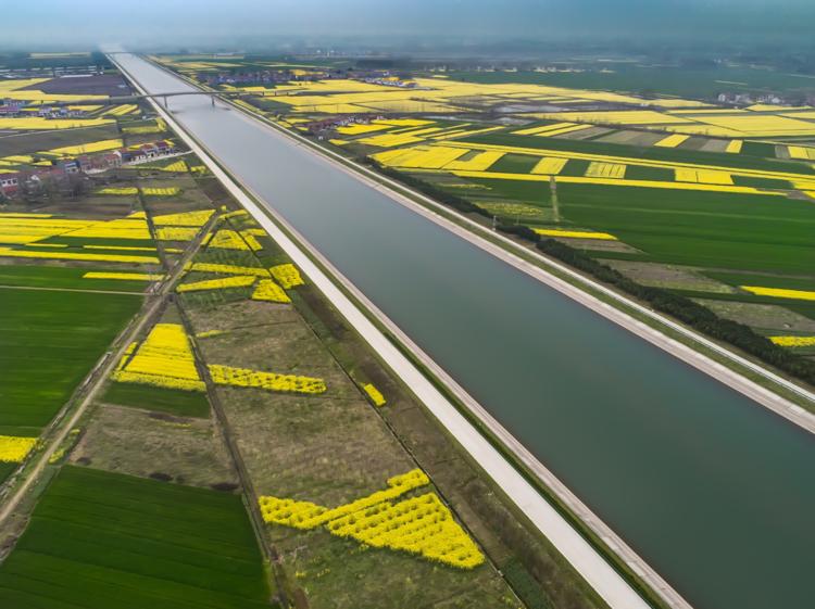 春日里的湖北|湖北沙洋:最美人工运河!风吹菜花香两岸