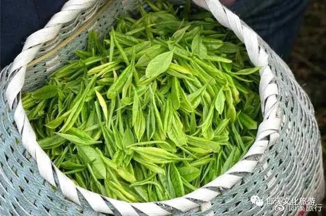 多彩宣城系列之八春风十里郎溪等你