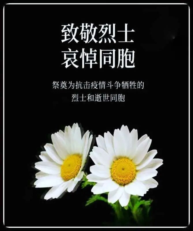 举国哀悼下半旗志哀