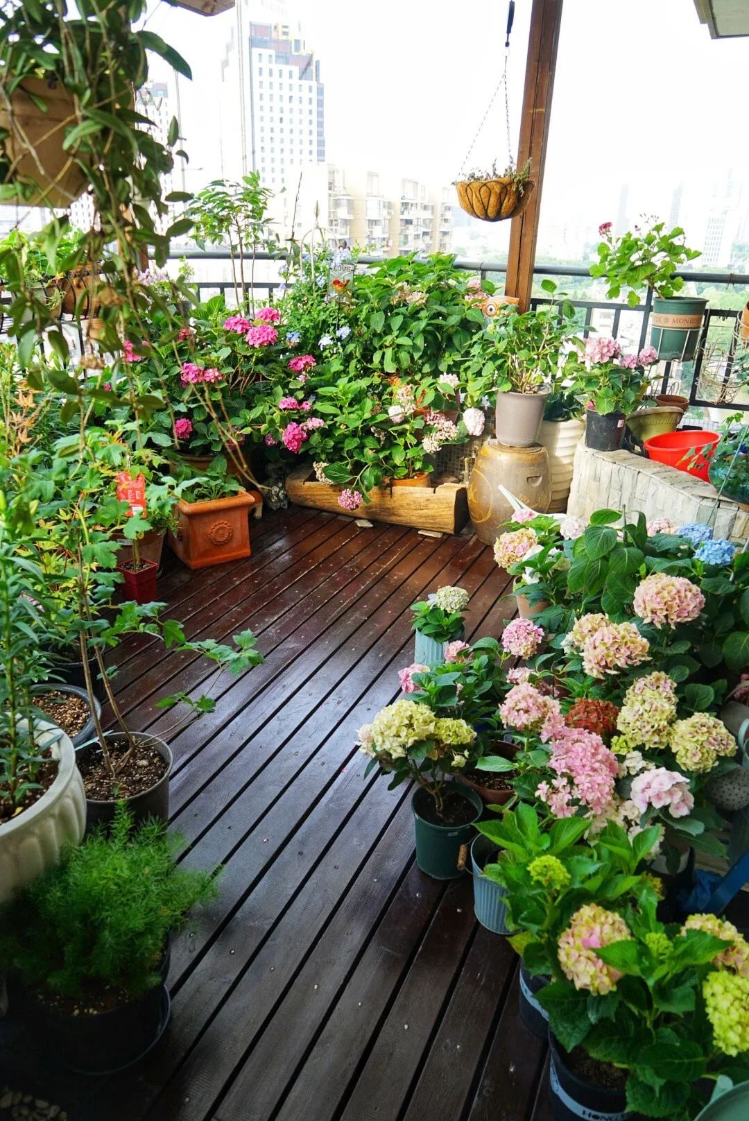 秀美61阳台2020年度秀洲区第二批月度美丽阳台展评快来看看有你家吗