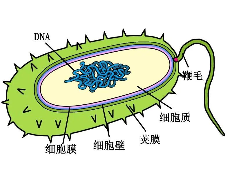 科普工作委员会 看不见的世界